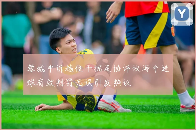 蓉城申诉越位干扰足协评议海牛进球有效判罚无误引发热议