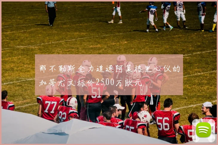 那不勒斯全力追逐阿莱格里心仪的加蒂尤文标价2500万欧元